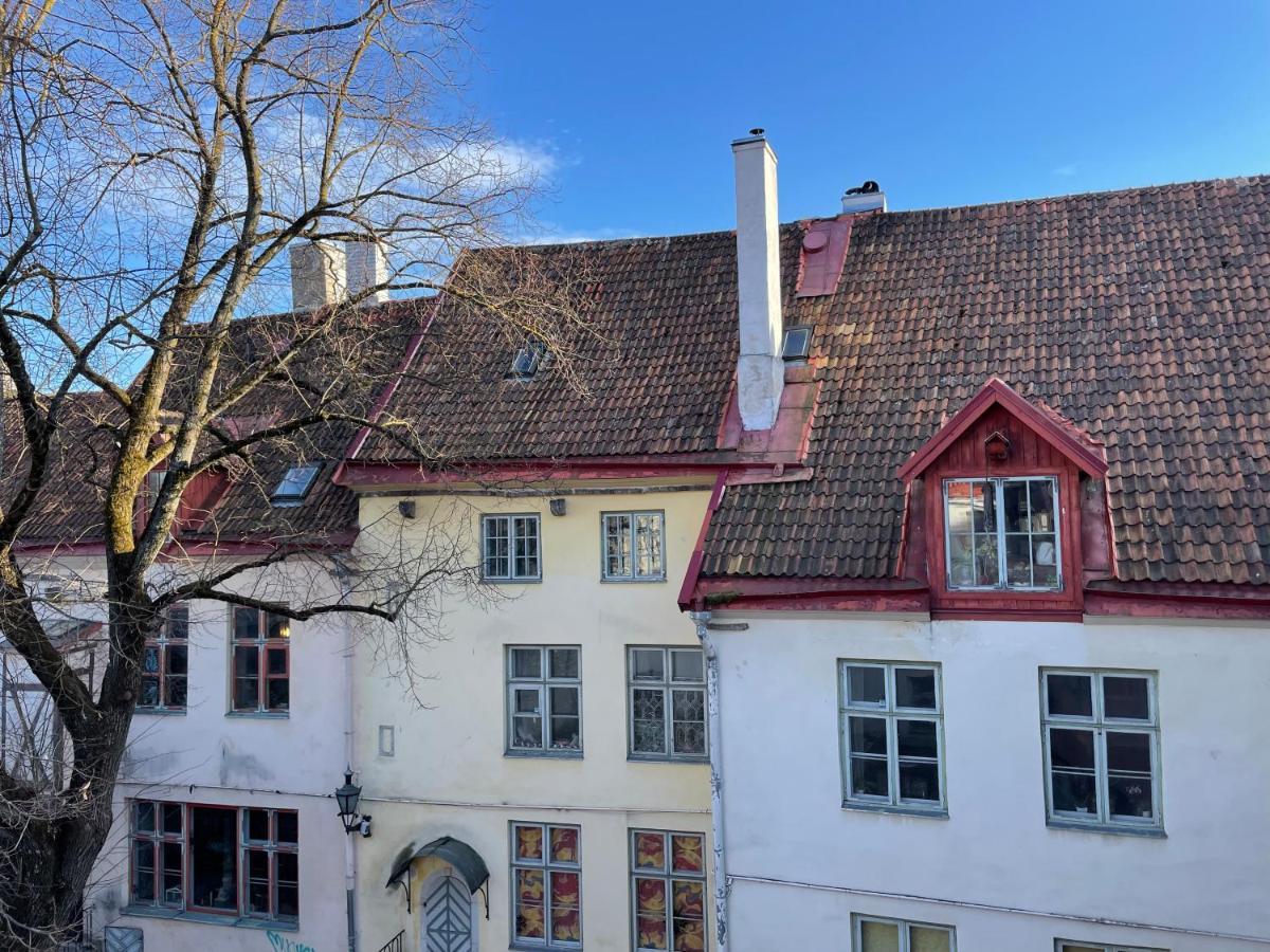 Old Town - Vene Apartment Tallinn Ngoại thất bức ảnh